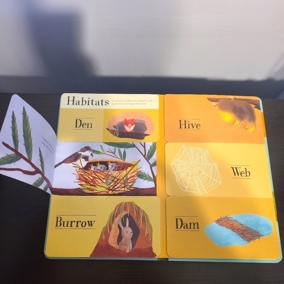 Hidden World Forest - Picture 3 of 3